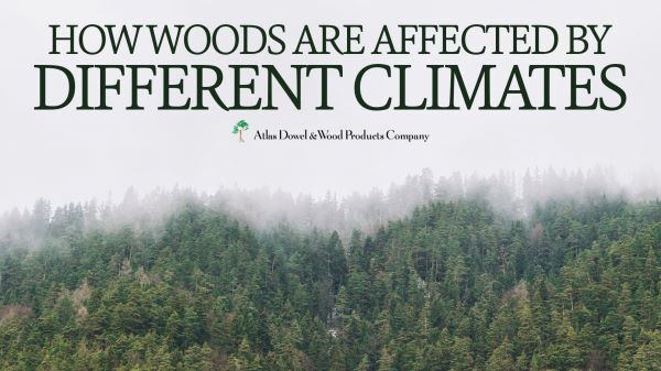 How Woods are Affected by Different Climates text overtop of pictures of trees